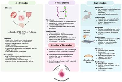 Current methodologies available to evaluate the virulence potential among Listeria monocytogenes clonal complexes